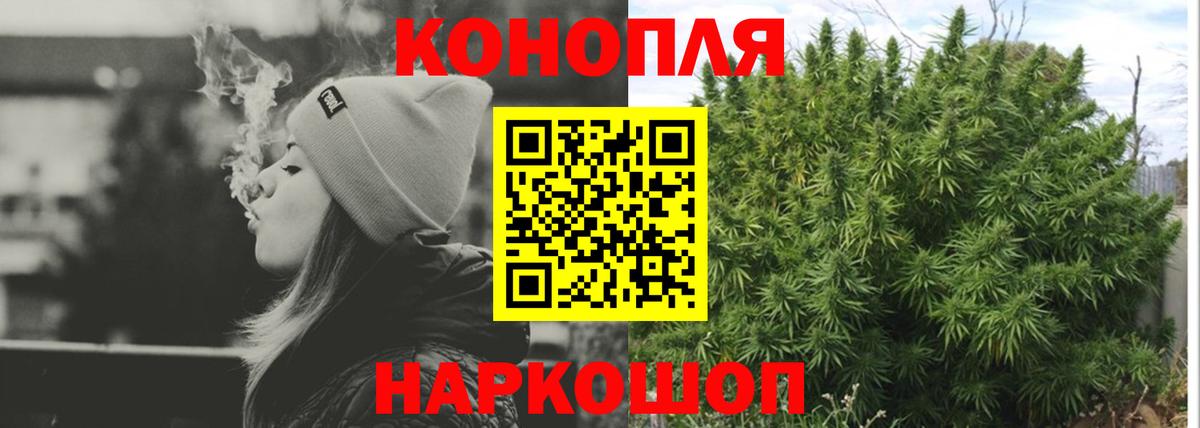 Бошки марихуана семена  Бошки Шишки марихуана  Канабис Ganja  Красноярск  Вход с VPN  Марихуана марихуана 